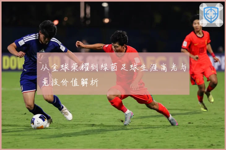 从金球荣耀到绿茵足球生涯高光与竞技价值解析