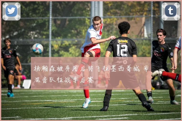 杨瀚森被弃用后将飞往墨西哥城 率混音队征战季后赛