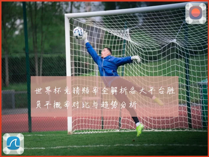世界杯竞猜赔率全解析各大平台胜负平概率对比与趋势分析