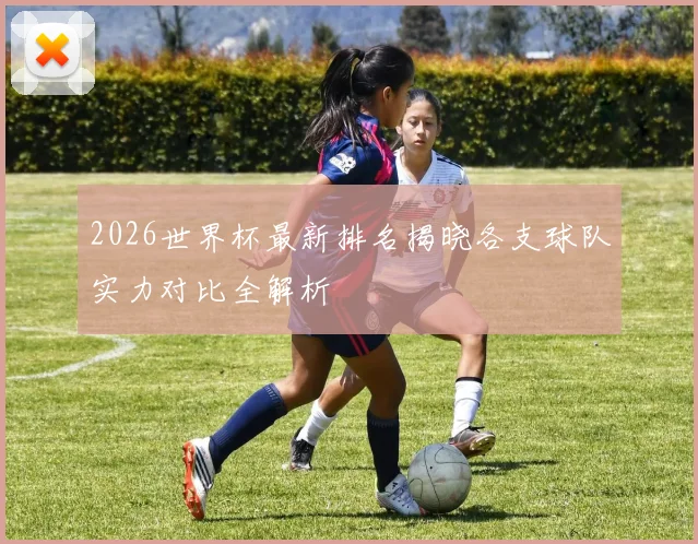 2026世界杯最新排名揭晓各支球队实力对比全解析
