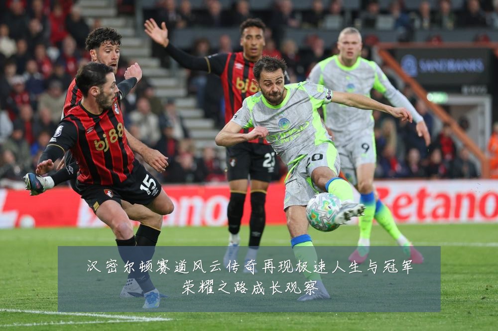 汉密尔顿赛道风云传奇再现极速人生与冠军荣耀之路成长观察