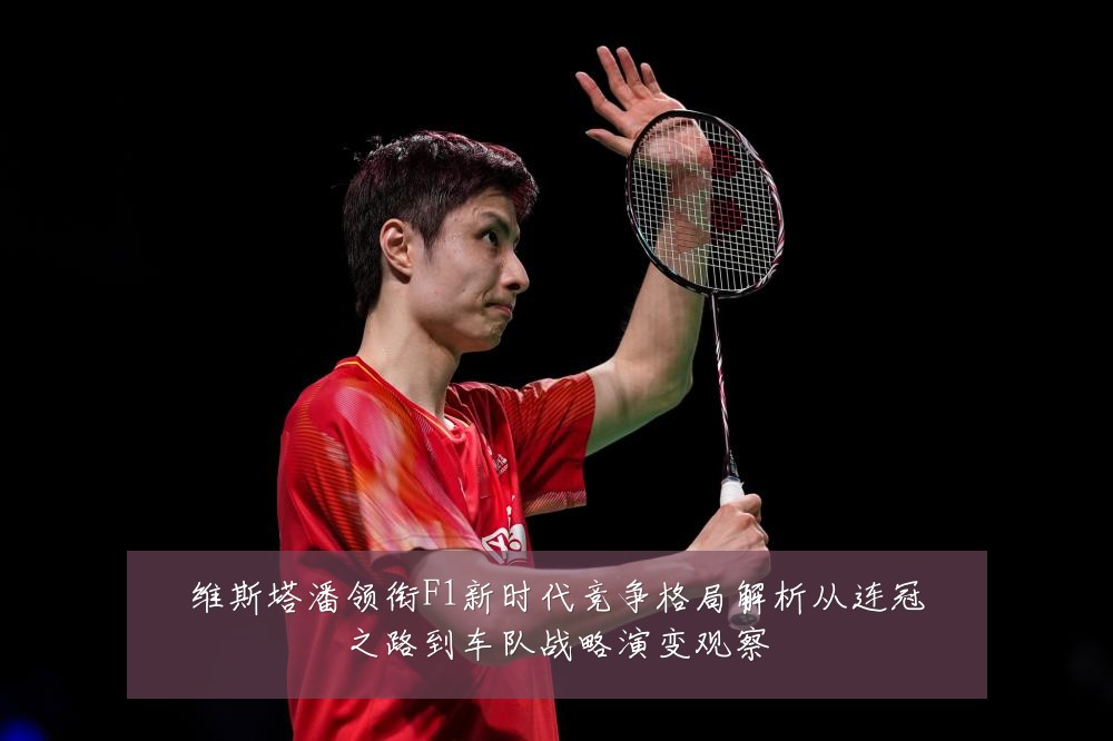 维斯塔潘领衔F1新时代竞争格局解析从连冠之路到车队战略演变观察