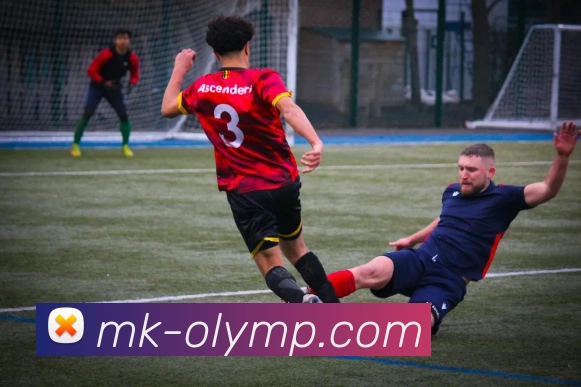 MK体育平台展示图