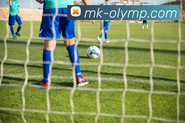 MK体育登录平台使用全攻略安全注册赛事玩法与优惠活动最新详解